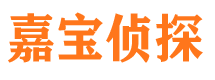 雅安市侦探调查公司